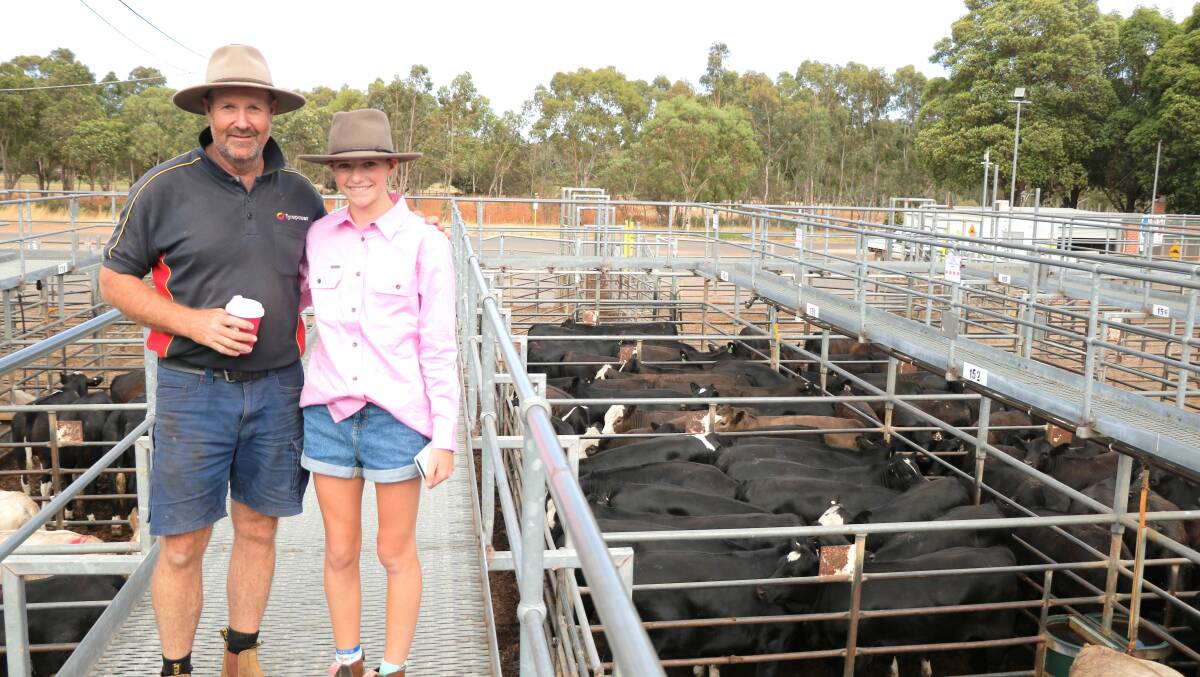 Justin Harris, Dardanup and daughter Kasey looked over the weaners on offer. In the sale Mr Harris purchased several pens of heifers to a top of $941.