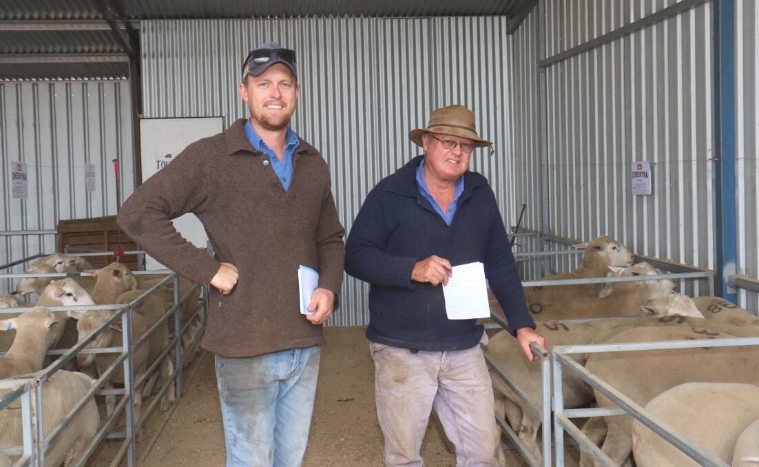 Dougal (left) and Tim Haslam, Popanyinning, looking at the rams before the sale at Williams. The Haslams finished the sale with one Suffolk and three White Suffolks.