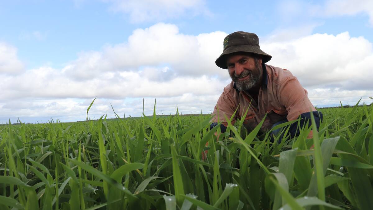 Things are looking good at Gairdner this year, with Jason Griffiths saying August has been kind to crops with 30mm of rain so far for the month. He is hoping for an average finish for crops to reach potential.