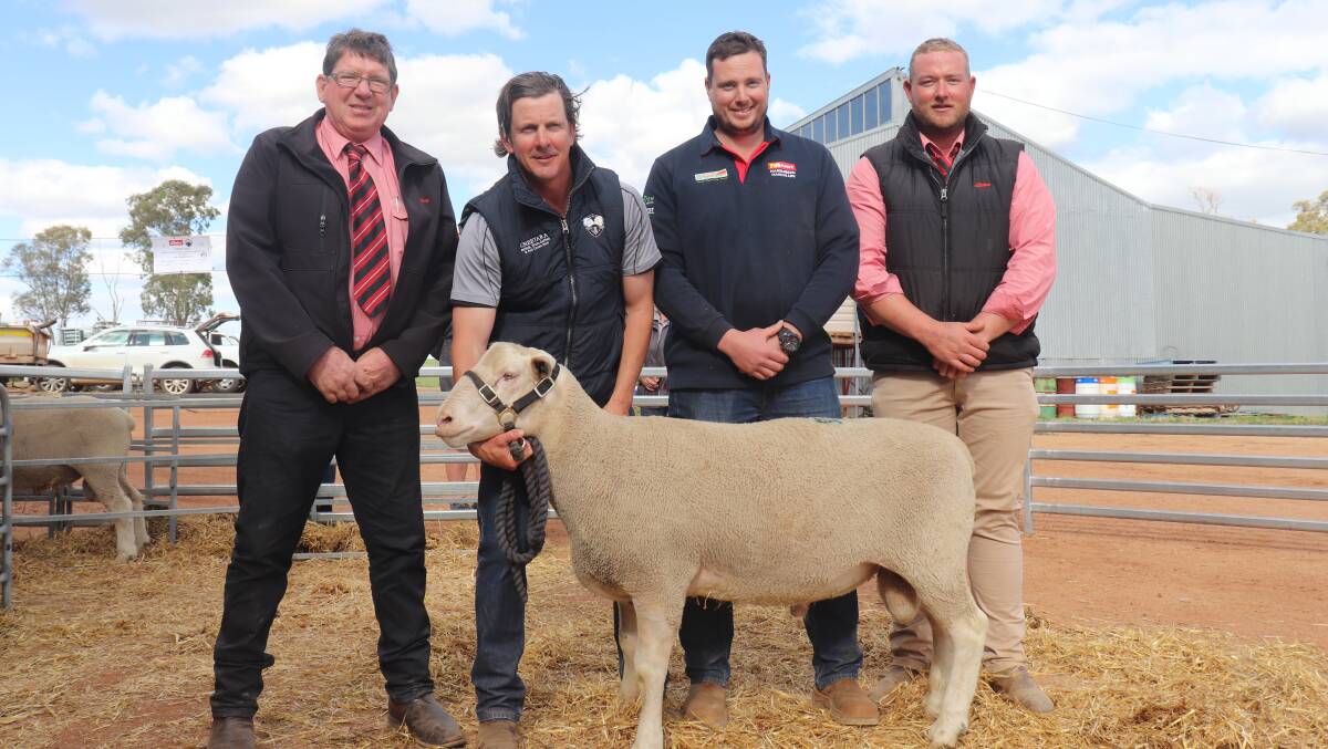 Michael O'Neil (left), Elders stud stock representative, Cheetara stud Principal Nick Cheetham, top price buyer Brendan Maher and James King with the White Suffolk ram that made the sales top of $3600.