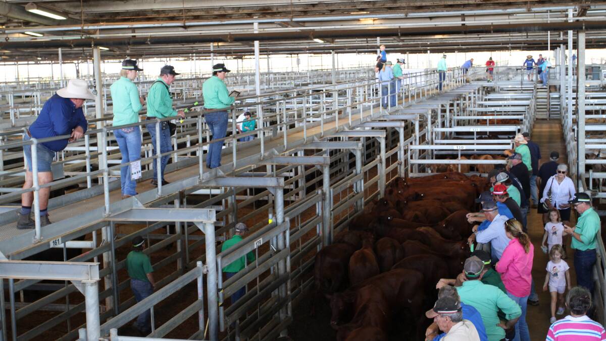 The Western Australian Meat Industry Authority (WAMIA) has cancelled its sheep and cattle sales at the Muchea Livestock Centre next week.