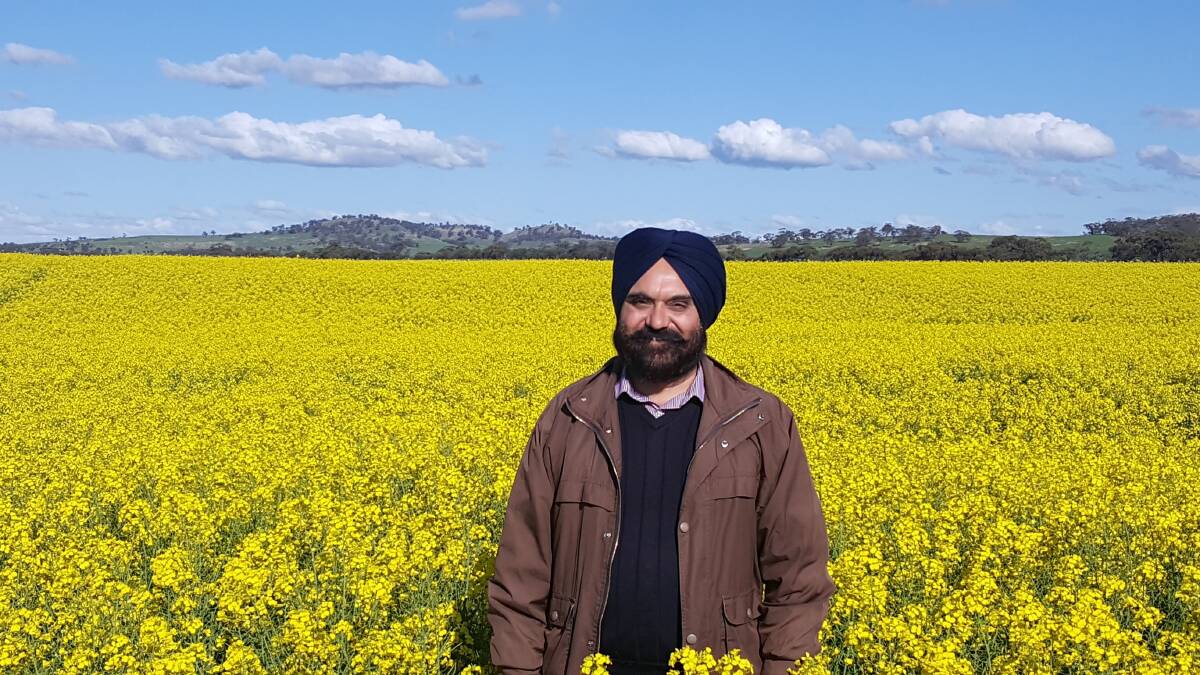DPIRD research scientist Harmohinder Dhammu has been a key contributor to the new 'Chemical weed control in canola' bulletin, available online.