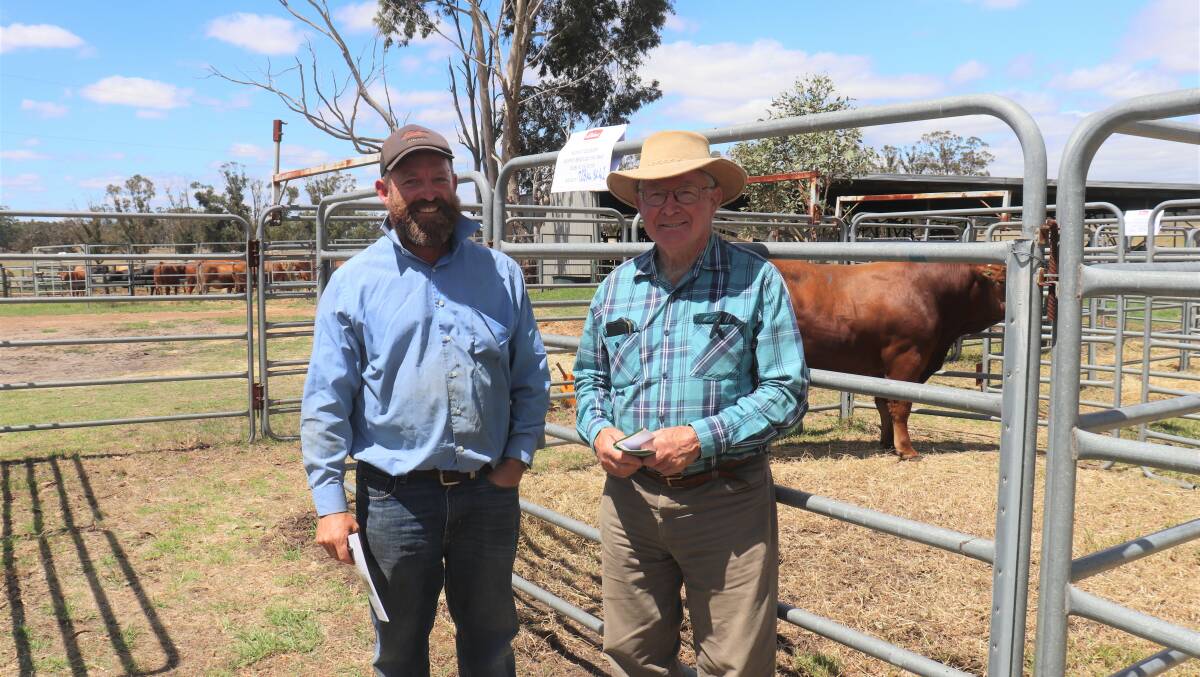 Mark Schedley (left), Jerramungup and Ken Goodall, Albany inspecting the bulls prior to the sale at Narrikup last Friday.