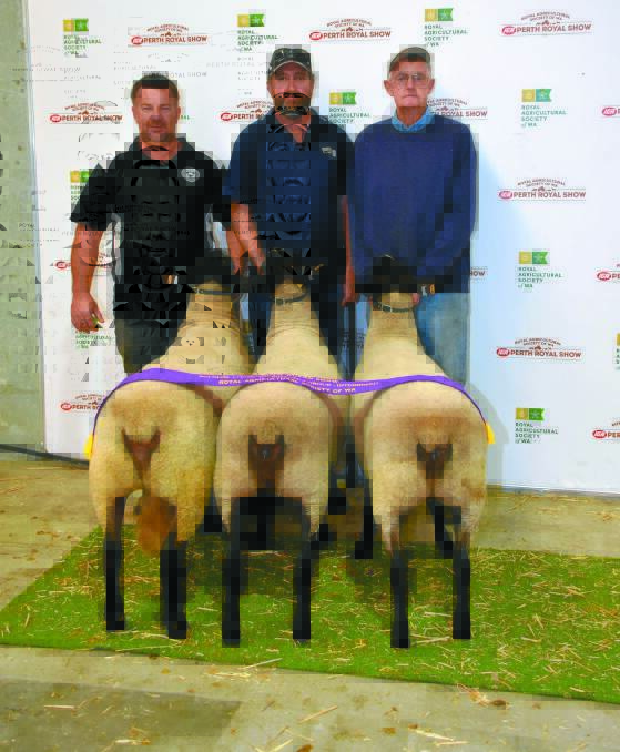 The British, Australasian and other breeds supreme champion breeder's group for one ram and two ewes was exhibited by the Kalinda Suffolk stud, Boyanup. With the winning group were Kalinda principal Matt Mitsopoulos (left), Richard Philipps, Boyup Brook and John Philipps, Waikiki.
