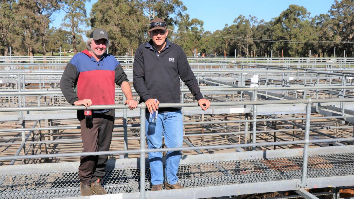 Sale vendor Rob Logie (left), Williams and his agent Louis Payne, Nutrien Livestock, Williams, at the Nutrien Livestock store cattle sale at Boyanup where Mr Logies cattle sold for 490c/kg.
