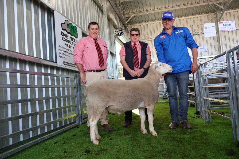 Elders livestock agent Gnowangerup and auctioneer, James Culleton, stud stock prime lamb specialist Michael ONeill, and Kojonup agent Jamie Hart, with Boree Park stud principal Michael Potter and the $5000 equal top priced ram purchased by Nick Cheetham, Cheetara stud, Narembeen.