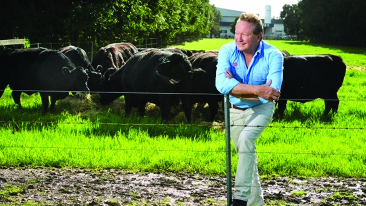  To beef up his Harvest Road business, Andrew Forrest bought four properties in the Moora region for about $10 million.