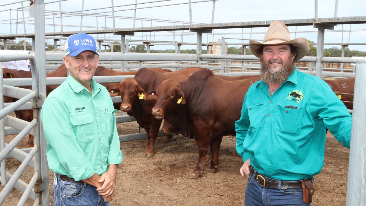 Nutrien Livestock Mid-West and Wheatbelt representative Craig Walker (left) with one of the sale's volume buyers Liam Johns, Killara station, Meekatharra. Mr Johns purchased seven Fieldhouse Droughtmaster bulls at the sale costing from $6000 to $7000.