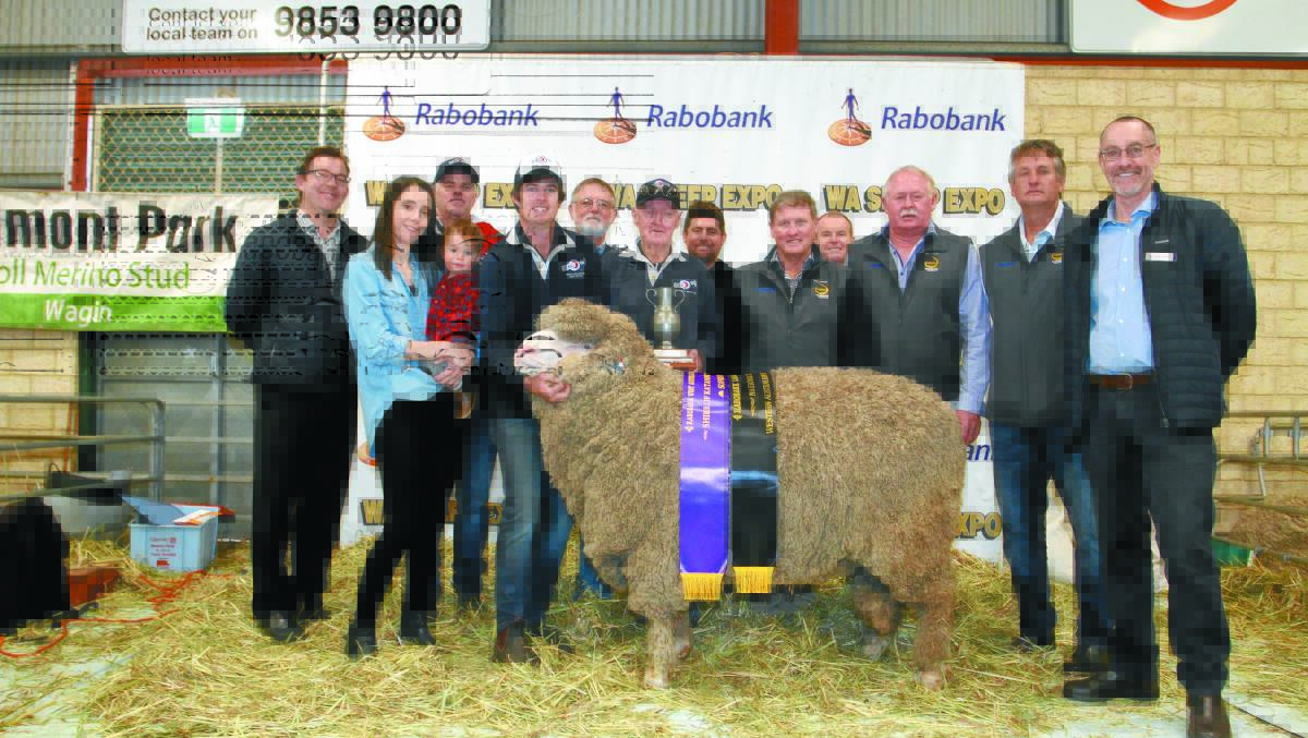SUPREME EXHIBIT: The 2019 Rabobank WA Sheep Expo & Sale supreme Merino and WA Merino Ram of the Year was awarded to a Poll Merino ram from the Ledwith family's Kolindale stud, Dudinin. With the grand champion August shorn ram and champion August shorn strong wool Poll Merino ram were Craig Matthews (left), Rabobank Albany, Kolindale stud connections Daniela and Luke Ledwith (holding ram) and their son Louis, Matthew Ledwith and Arthur Major (holding trophy), Katanning shire deputy president, John Goodheart, Stud Merino Breeders Association of WA vice president Alan Hobley, Nyabing, Darren Clifford, Rabobank Bunbury, judges Russell Jones, Darriwell stud, Trundle, New South Wales, Rod Kent, Kurrajong Park stud, Delungra, New South Wales and Les Sutherland, Arra-dale stud, Perenjori and Martin Anderson, Rabobank Bunbury.
