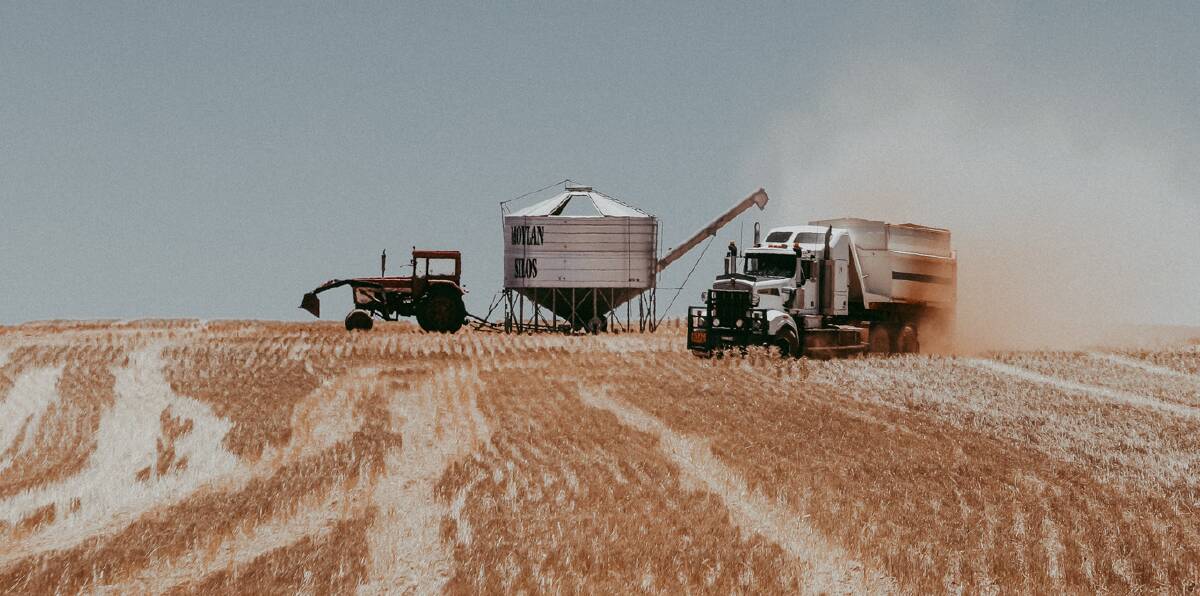 A grain truck carting grain in November 2020. Photo by Ellie Morris.