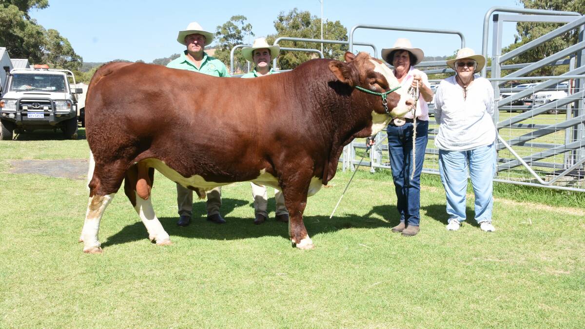 The $20,000 top-priced traditional Simmental bull was Bandeeka Sensation S007 (P) from the Bandeeka stud, Elgin. With the bull which was purchased by the Norman family, RH Norman & Son, Lake Muir, Boyanup and Busselton, were Nutrien Livestock, Boyanup agent Chris Waddingham (left), Nutrien Livestock, Boyup Brook agent Jamie Abbs, who helped the Normans purchase the bull, Bandeeka co-principal Loreen Kitchen and buyer Betty Norman.