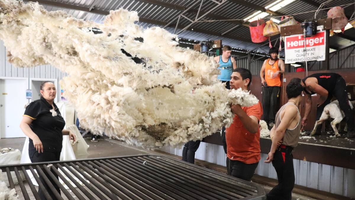 Brady Walsh, 16, Bassendean, is a year 11 student at secondary college but already has his heart set on becoming a shearer. Here he throws a fleece on the wool table at Rylington Park's shearing, woolhandling and pressing school with woolhandling trainer Nola Edmonds watching.