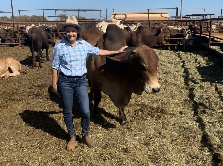 Broome-based veterinarian and bull semen analyst, Tracy Sullivan, was the only WA woman selected for the Diversity in Leadership program, which is held by the National Farmers' Federation.