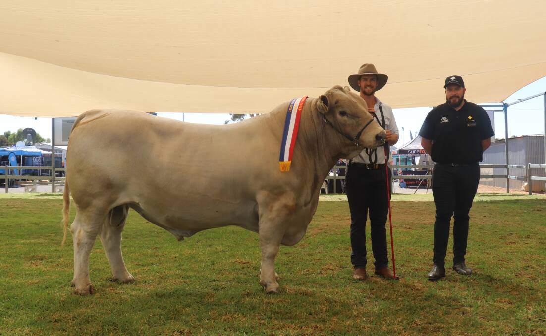 With the champion British breed senior bull Southend Roman, exhibited by the Southend Murray Grey stud, Katanning, were Southend stud co-principal Kurt Wise (left) and sponsor Mark Letter, Commonwealth Bank, Katanning.