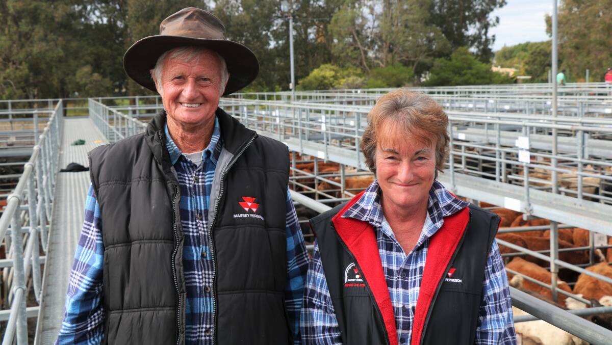Gerald and Denise Young, Yornup, enjoyed returning to the Boyanup yards after a prolonged absence. They were even more pleased to secure a pen of young beef steers.