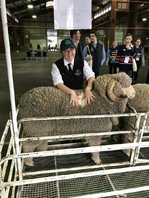 WA College of Agriculture, Cunderdin, year 12 student Madison Crossen, Wongan Hills, inspecting a ram fleece at the National Merino Challenge in Sydney.