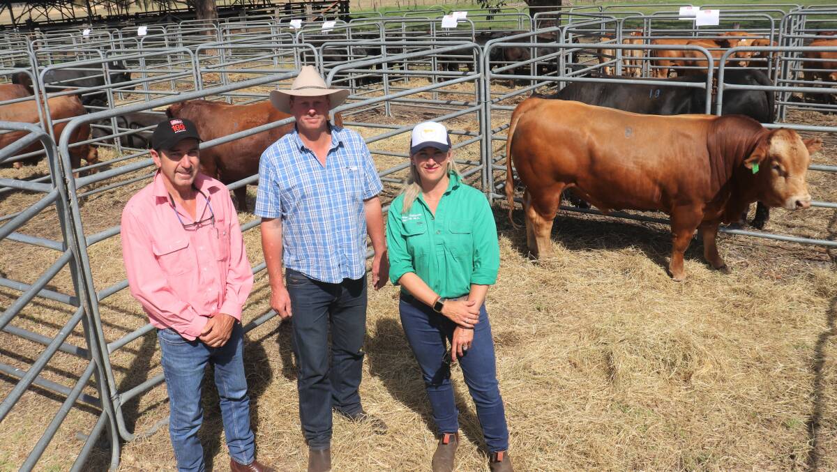 With the $12,500 top-priced Summit Manny Q0202 bull at the annual Summit Gelbvieh sale at Narrikup was Elders, Margaret River agent Alec Williams (left), top price buyer Daryl Avery, Scott River and representing the Summit Gelbvieh team Clare King, Narrikup.