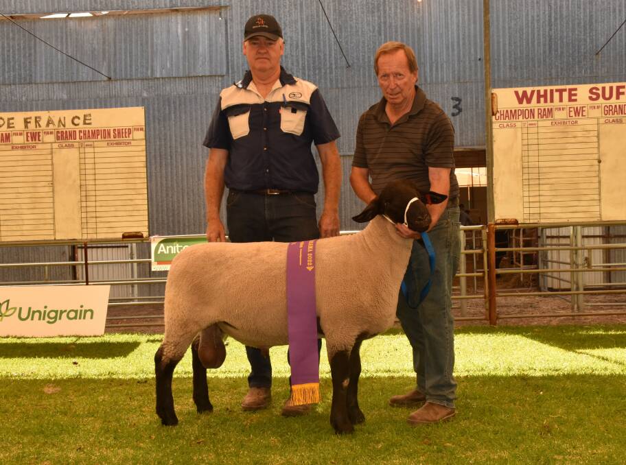 Judge Adrian Veitch (left) Narrogin, is with Goldenover studmaster Ray Batt, Cuballing, holding the grand champion Suffolk exhibit, also the champion all breeds ram, at Woolorama.
