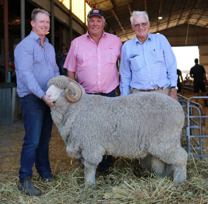  This Merino ram, held by East Mundalla co-principal Daniel Gooding (left), with Graeme Taylor, Elders Lake Grace and Philip Gooding, East Mundalla, sold to repeat buyers MAF & KL Hedger, Snowy Plain stud, Cooma, NSW, for the day's third top price of $10,250.