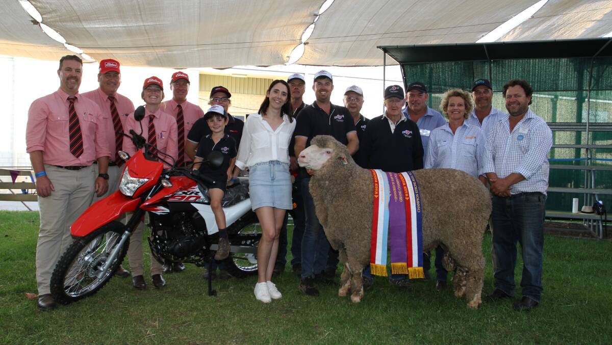 The 2024 Wagin Woolorama supreme Merino exhibit was awarded to the Ledwith familys Kolindale stud, Dudinin. With the grand champion Poll Merino ram and champion strong wool Poll Merino ram were sponsors Nathan King (left), Tim Spicer, Lauren Rayner and Jeff Brown, Elders stud stock, Jodie Rintoul, Farm Weekly, Kolindale stud connections Louis, Daniela, Mathew and Luke Ledwith, Colin Lewis and Arthur Major and judges Shayne Mackin, Kamballie stud, Tammin, Robyn and Phil Jones, Belka Valley stud, Bruce Rock and Steven Bolt, Claypans stud, Corrigin. 