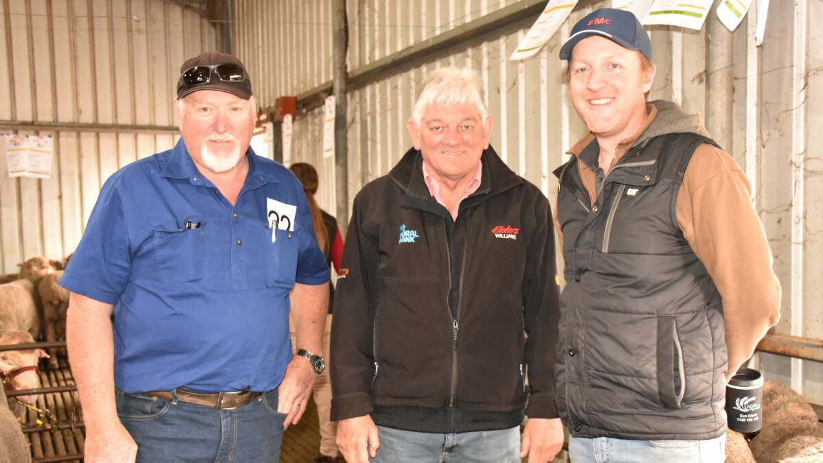Buyers Remo Pessotto (left), Manjimup, Elders Williams representative Graeme Alexander and Ben Creek, Mayanup, prepare to take home rams after the Far Valley Dohne ram sale last week at Arthur River.