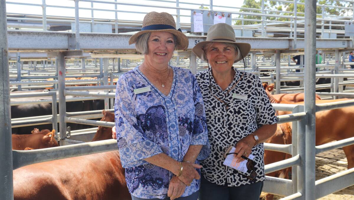 Jeanann Barbour (left) and Helen Hawley from the Albany Community Hospice. With prices topping at $3100 for the charity pens, a total of $30,400 was raised for the Albany Community Hospice at the annual Ray Norman Memorial Breeders sale at the Mt Barker Regional Saleyards.