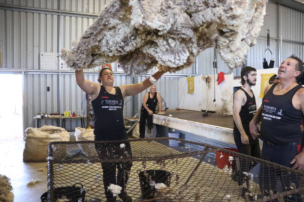 Shearing novices learn the finer points