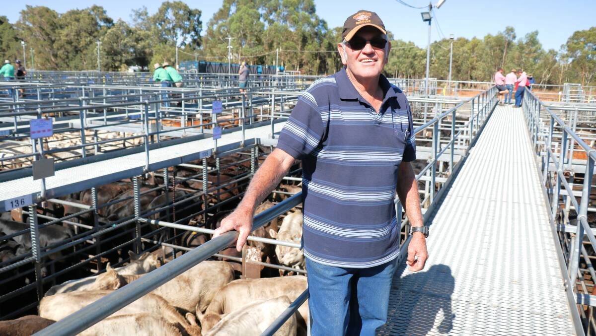Ed Russell, Bridgetown, sold three pens of weaner steers early in the Nutrien Livestock section and they made $982, $960 and $975 to be among the more consistent results.