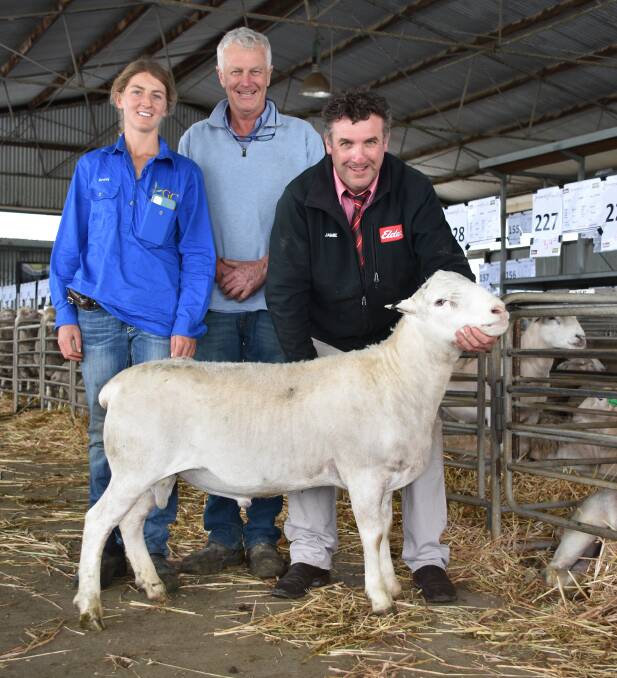 Kojak rams were in demand at last week's BreedersBEST on-property ram sale with this ram selling for the breeds $3000 top price to Peter Hall, Waitavalo Farms Pty Ltd, Narembeen. With the ram were BreedersBEST head stockperson Sophie Beasley (left), stud principal Craig Heggaton and Elders Kojonup agent Jamie Hart, who purchased the ram for Mr Hall.