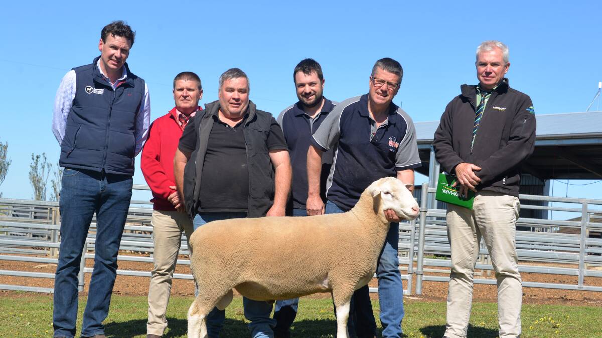 With the $29,000 record selling Ella Matta White Suffolk ram are joint purchaser Troy Fischer (left), Ashmore stud, Wasleys, South Australia, Elders stud stock auctioneer Tony Wetherall, joint purchaser Anthony Ferguson, Anna Villa stud, Weetulta, South Australia, Ella Matta principals Jamie and Andrew Heinrich and Landmark auctioneer Leo Redden.