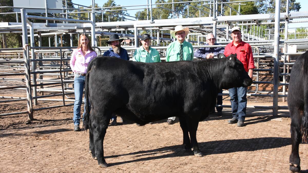 With one of the $20,000 top-priced heifers in the sale, Mordallup Heather S109, were Mordallup's Diana Muir (left), buyer Gavin Russell, Callanish Grazing, Callanish stud, Thomson Brook, Nutrien Livestock, Bridgetown agent Ben Cooper, Nutrien Livestock auctioneer Tiny Holly and Mordallup principals Graham and Mark Muir, Manjimup.