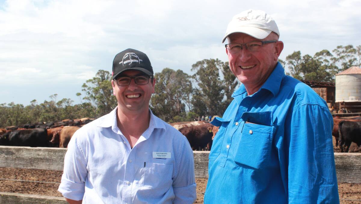 Harvey Beef Gate 2 Plate Challenge committee member and DataMars territory manager Roby Parker (left), caught up with Ashley Chitty, Tonebridge Grazing, Tonebridge, while inspecting the Challenge cattle at the Willyung Farms feedlot.