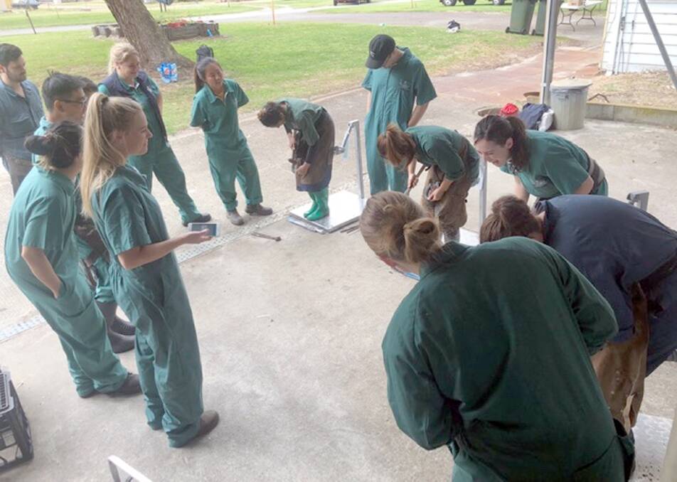 Young farriers are learning the finer points of the industry at the Serpentine-based school.