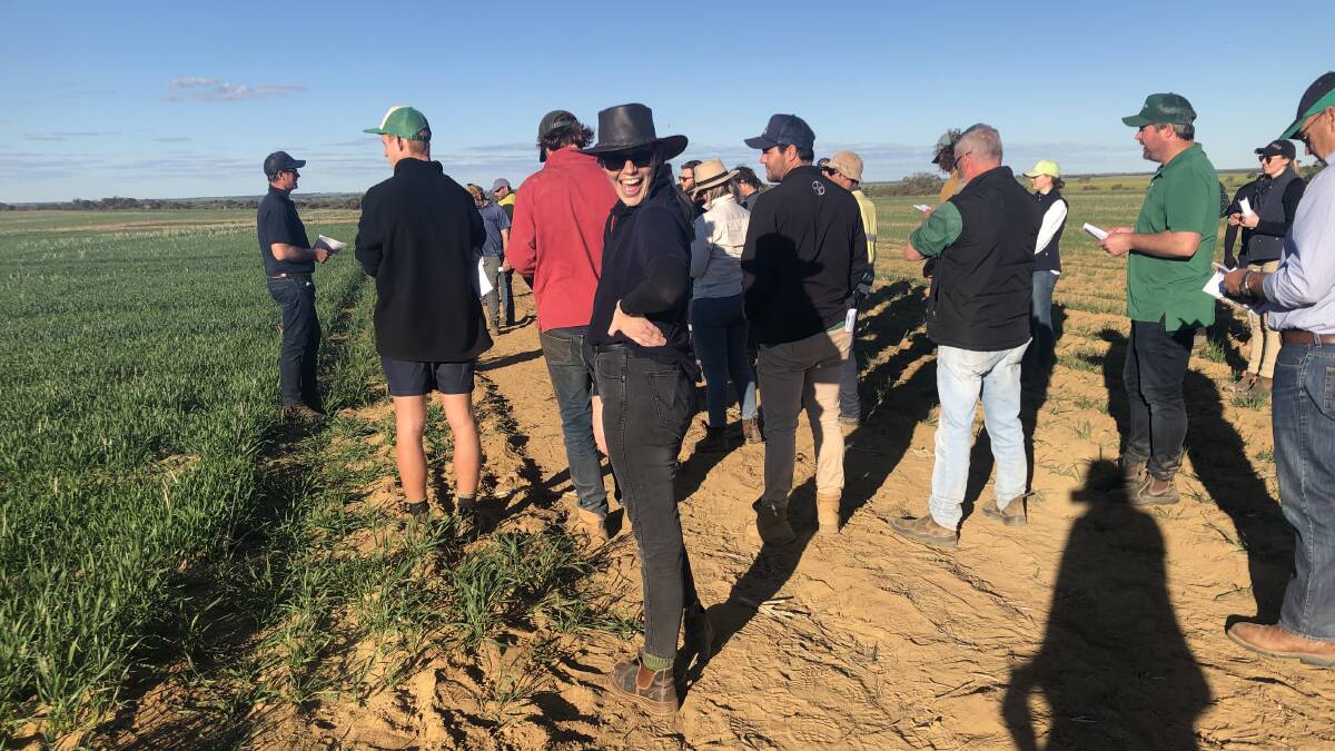 Curtin University agribusiness student Susannah Packer enjoying the National Variety Trials at the Post Seeding Field Walk.