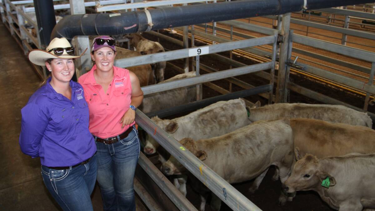 Sale vendors and WA Charolais Society's 'Silver Calf' competition entrants Jess (left) and Morgan Yost, Culham Grazing Company, Culham Charolais stud, Toodyay, sold a pen of Charolais steer weaners for 316c/kg at the sale.