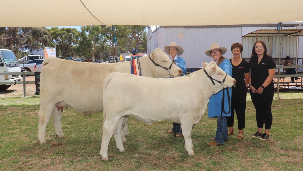 With the European breed senior champion female Elgin Park Lorenza and her heifer calf, exhibited by the Quilty familys Elgin Park Charolais stud, Elgin, were handlers Amanda Cavenagh, Elgin Park Charolais (left) and Indiana Smith with Country Wide Insurance Brokers staff Narelle Bein and Lauren Beck.