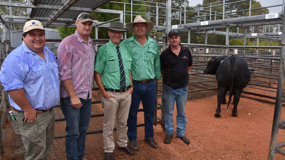  With the $14,500 top-priced Cherylton bull purchased by S Camarri & Co, Nannup, at last week's combined Cherylton and Black Market Angus bull sale at Boyanup were Zoetis representative Jarvis Polglaze (left), who provided prizes for the sale, Cherylton Farms operations manager Clint Wardle, sale auctioneer Neil Brindley, Landmark Brindley & Chatley, Esperance, Landmark Boyanup agent Chris Waddingham and Cherylton Farms livestock overseer Jamie MacKean.