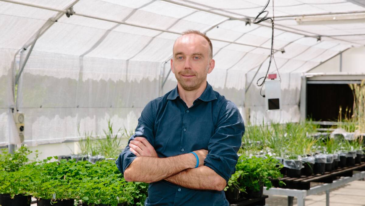 Australian Herbicide Resistance Initiative research fellow Roberto Busi.
