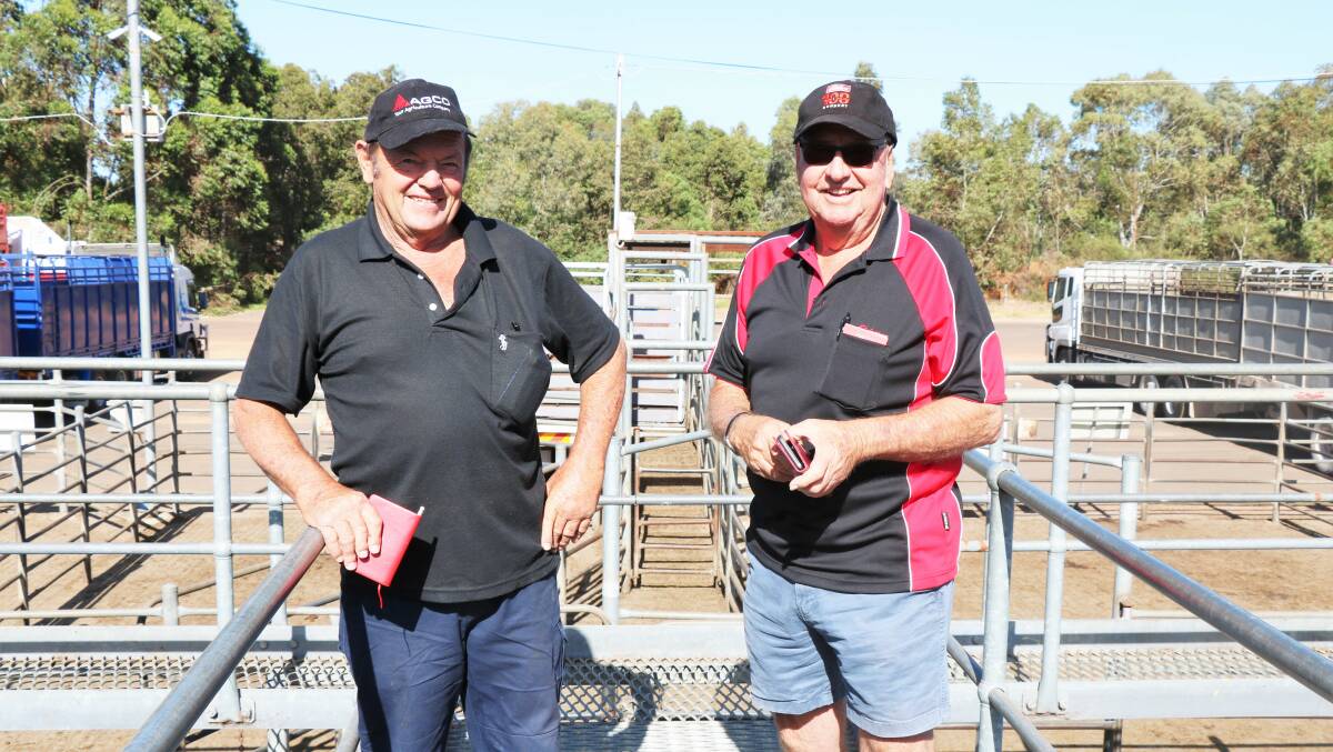 Terry Tarbotton (right), Elders, Nannup, with client Bruce Hamon, Anniebrook, on the rail before the sale. Mr Tarbotton had a pocket full of orders buying for several clients, paying up to $1699 for Mr Hamon.