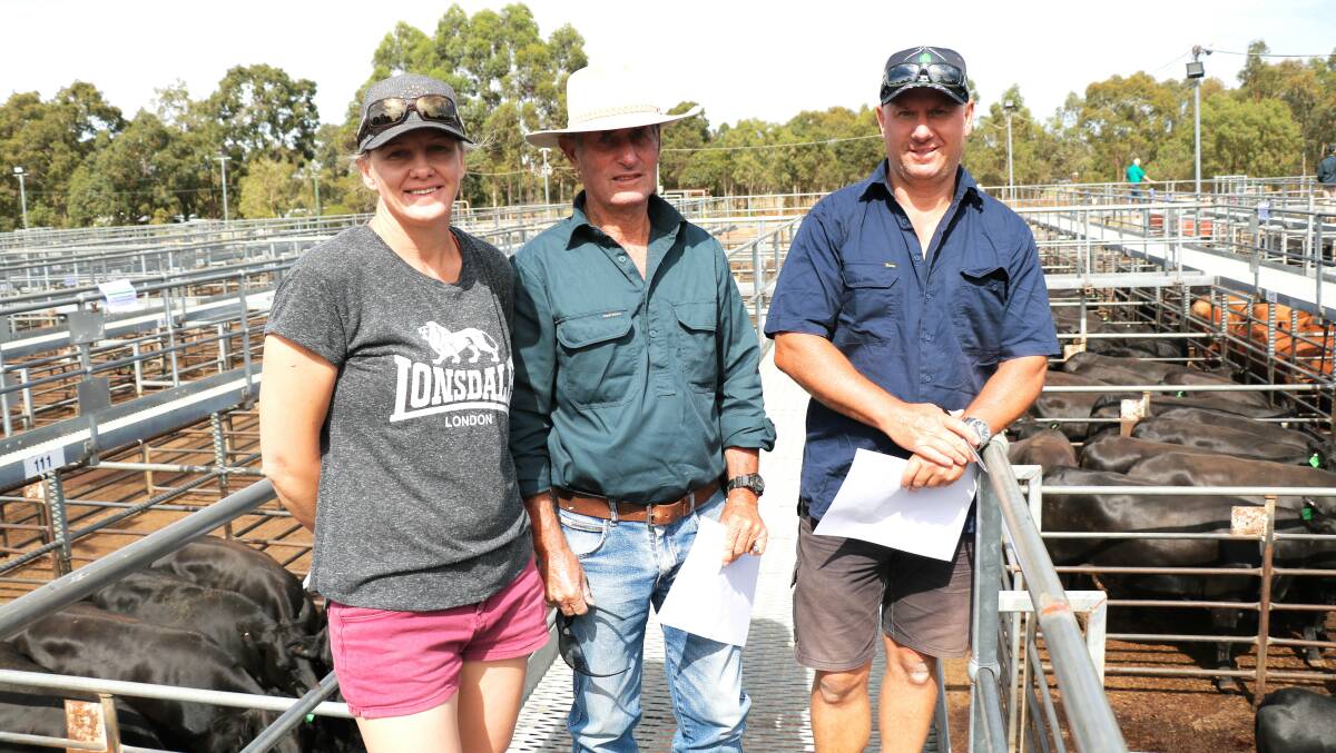 Karlee Hayes and Jim Tuckey and Simon Tuckey, Pinjarra, were some of the first to check out the females at the sale. Karlee and Simon took home a pen of six Angus-Friesian cross heifers due to calve from March 10 returning $1400 for vendor RJ & BL Mazza.