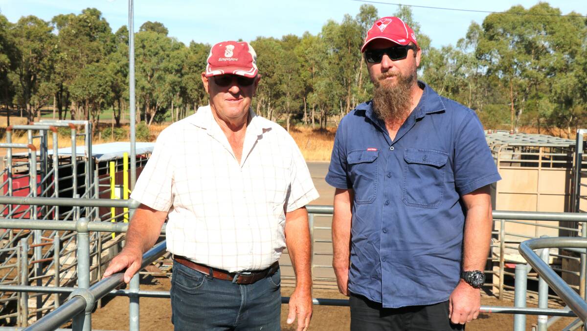 Mark (left) and Leigh Hodgeson, Waroona, arrived in time to see their steers sell to a top of $1187 at the Elders store sale at Boyanup