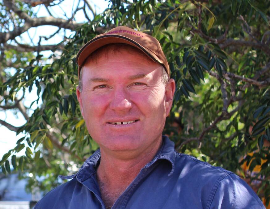 Kojonup woolgrower, WAFarmers vice-president and until earlier this year WoolProducers Australia director Steve McGuire has confirmed he will seek election to the Australian Wool Innovation board in November.