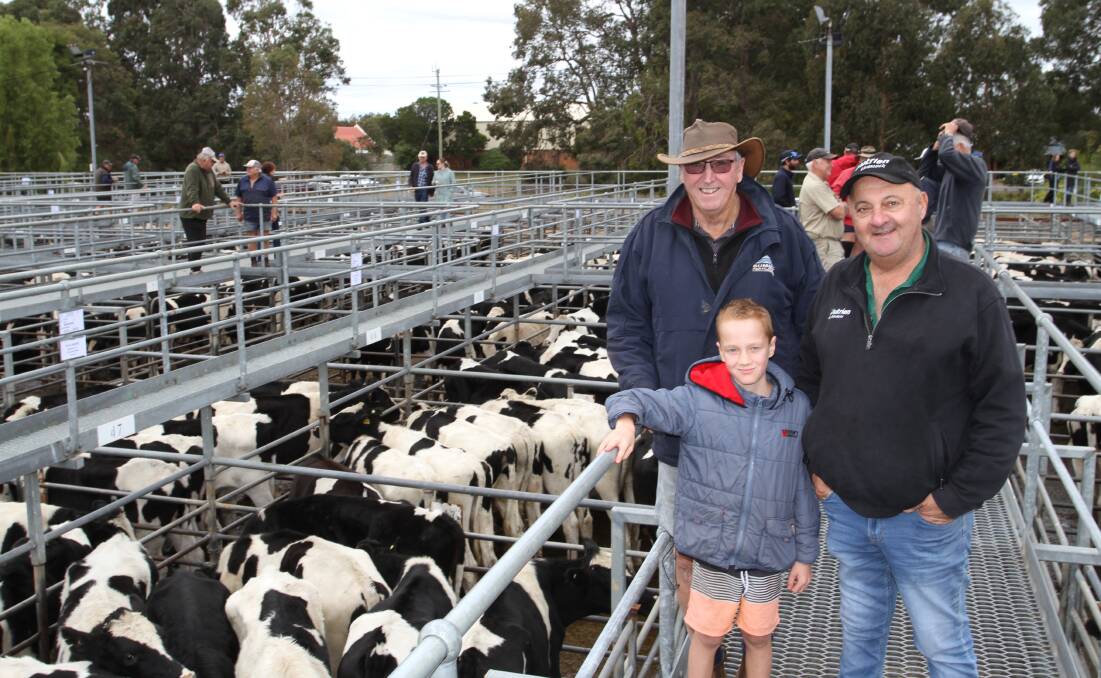 Vendor Neville Haddon (left), NL & E Haddon, Busselton, with his grandson Jack Mildwaters, Hithergreen and sale coordinator Ralph Mosca, Nutrien Livestock, Peel and surrounds with the Haddon's draft of Friesian steers which sold to 378c/kg and $1732.