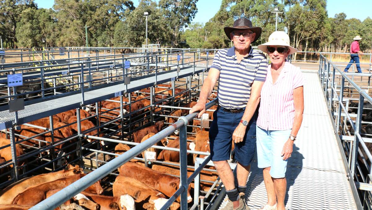 Prospective buyers Miles and Lyn Hewitt, Coolup, inspected the weaners on offer at last weeks sale.