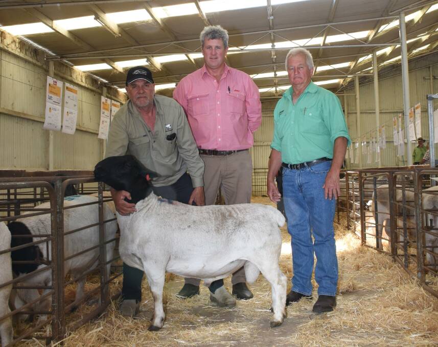 Prices hit a high of $4700 for this Dorper ram from the Prieska stud, Mt Barker, at the Kaya Dorper and White Dorper Production sale at Narrogin last week when it sold to a buyer from New South Wales operating on AuctionsPlus. With the ram were Prieska stud principal Marius Loots (left), Elders, Narrogin agent Paul Keppel and Nutrien Livestock, Narrogin agent Ashley Lock.
