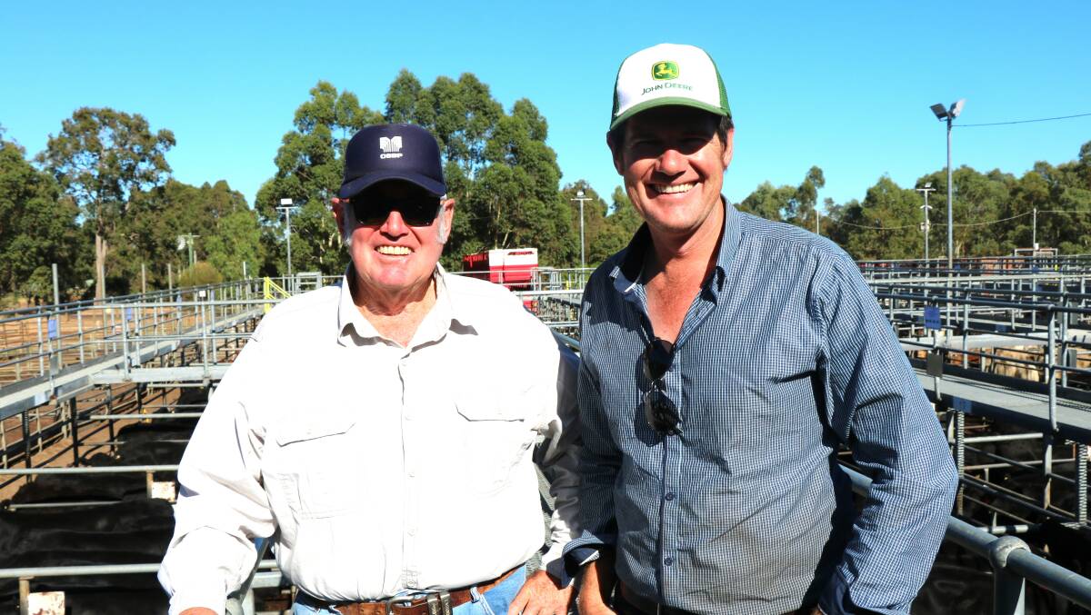 Andrew (left) and Stuart McCormack, Pinjarra, bought several pens of cattle, paying up to $1586.