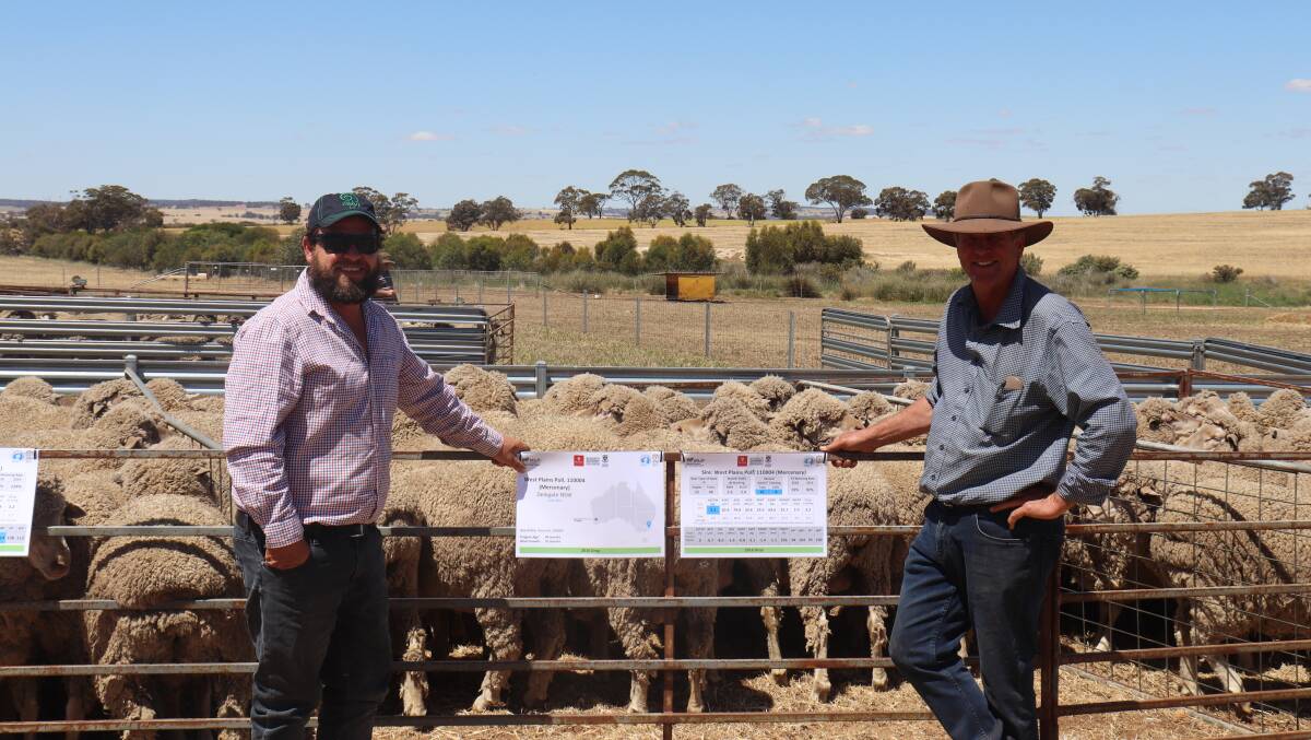MLP project committee member Steven Bolt (left), Corrigin, caught up with site chairman Brett Jones, Ejanding stud, Dowerin, at the MLP field day at Pingelly last week.