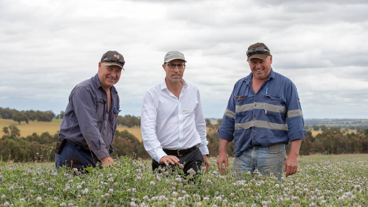 Dandaragan farmers Richard (left) and David Brown (right), with DPIRD senior research scientist Daniel Real at the launch of Lanza tedera in 2018.
