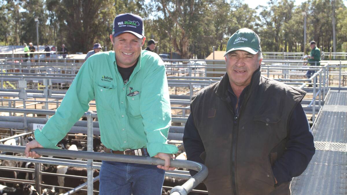 Buyer and Nutrien Livestock pastoral agent Shane Flemming (left) caught up with Tony Ferraro, Yarloop, before the start of the sale.