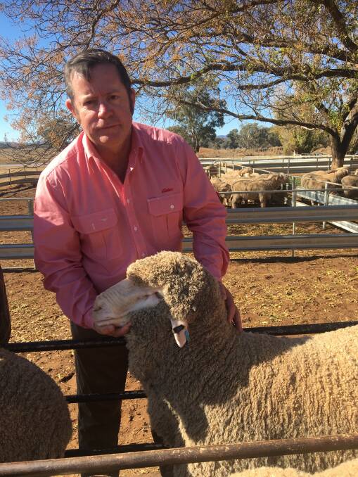 Elders Central Western NSW district wool manager and livestock production adviser, Gregory Sawyer.